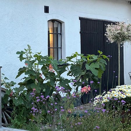 Backadal Gard Bnb Ystad Dış mekan fotoğraf