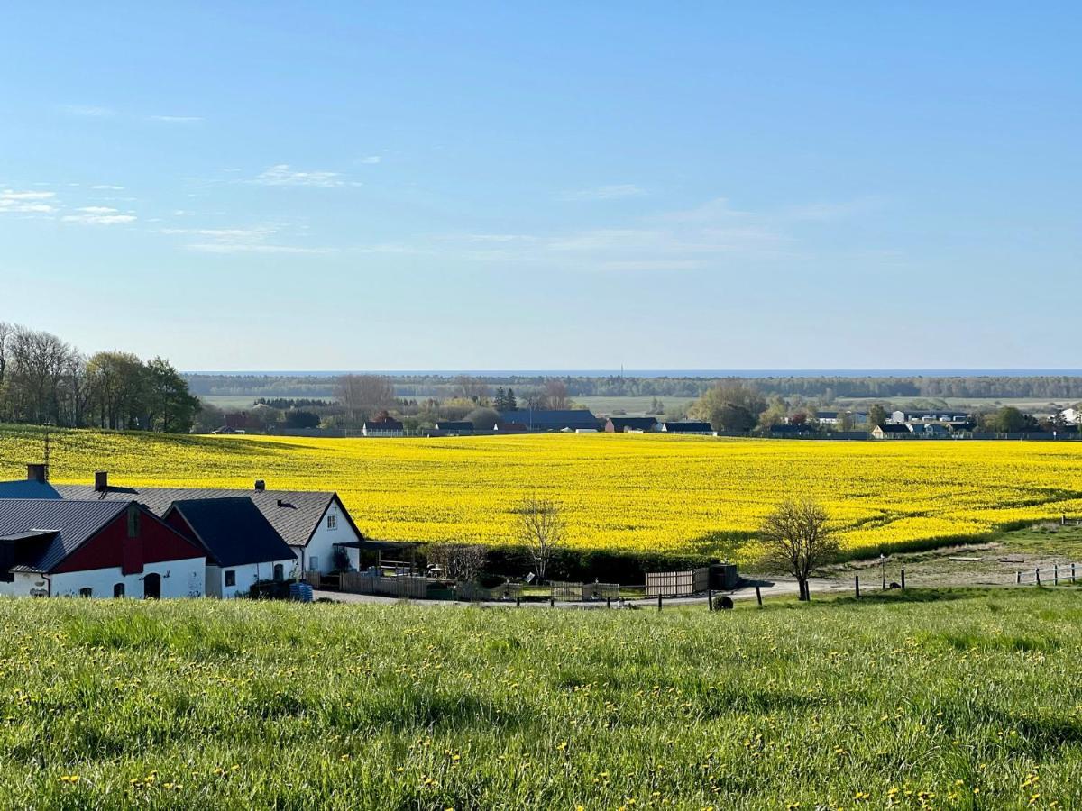 Backadal Gard Bnb Ystad Dış mekan fotoğraf
