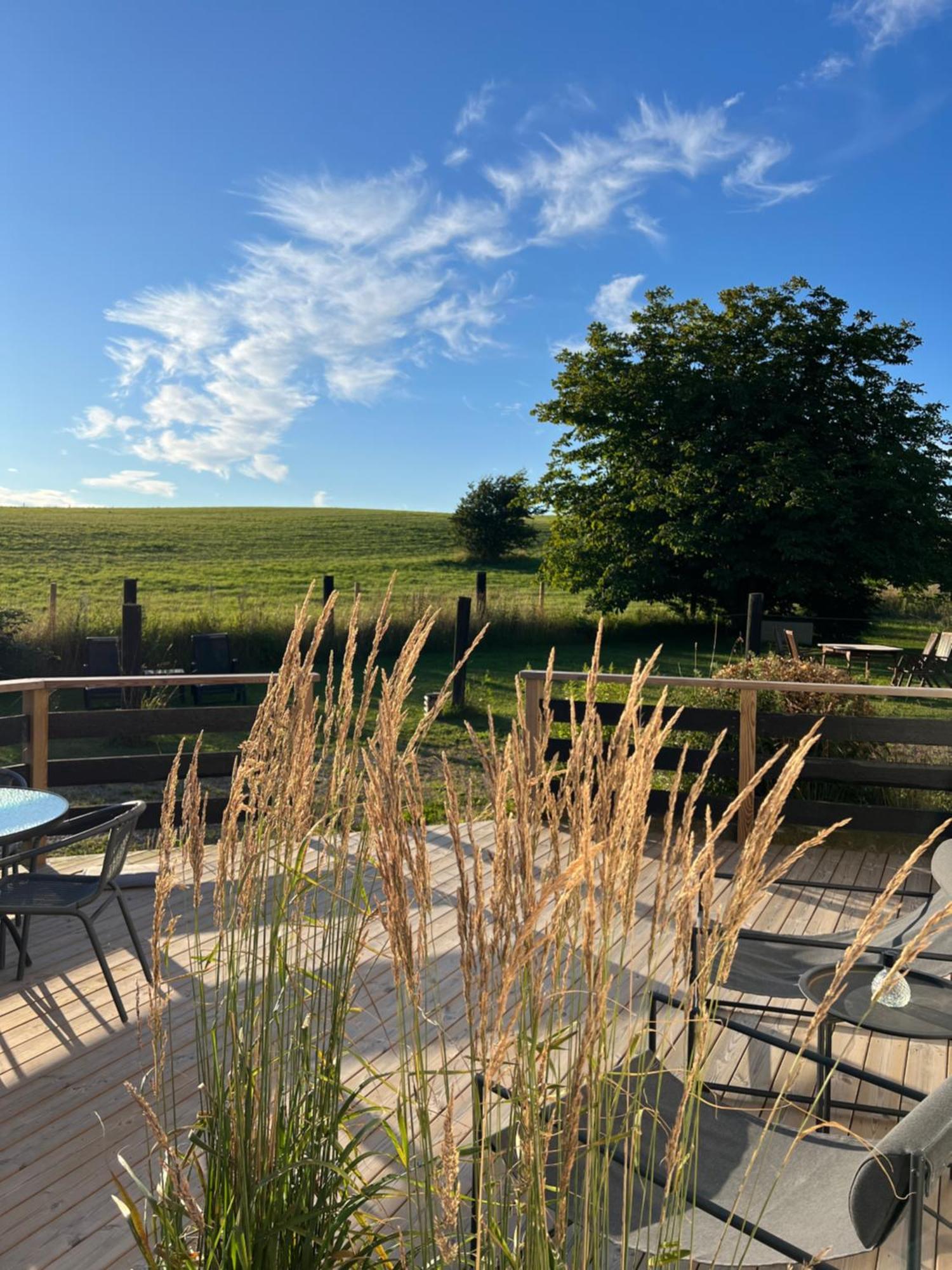 Backadal Gard Bnb Ystad Dış mekan fotoğraf
